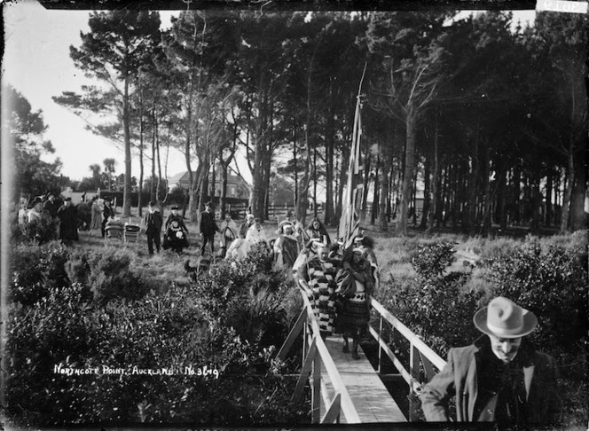 Maori party arriving at Northcote Point, Auckland