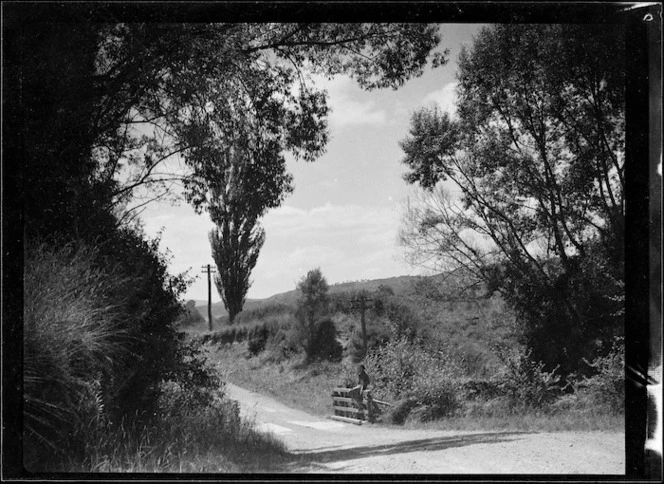 Bridge and road, Mangamahu