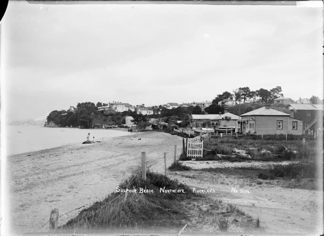 Girls with dogs on Sulphur Beach, Northcote, Auckland