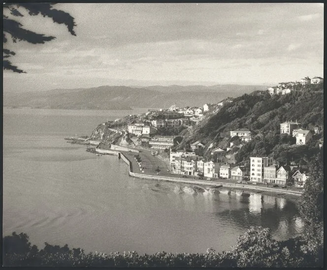 View of Oriental Bay, Wellington