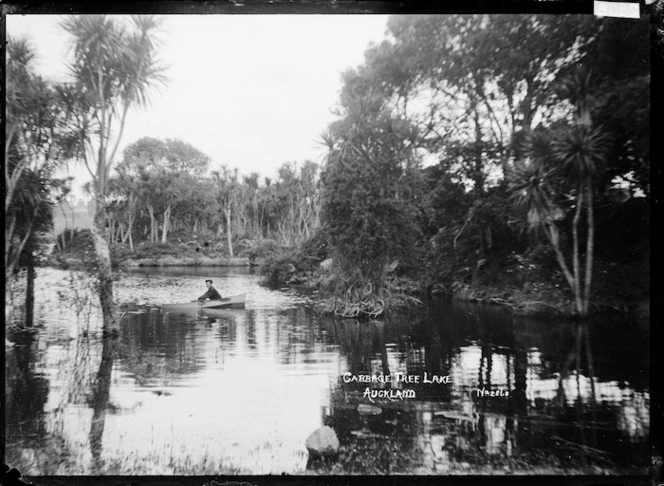 View of Cabbage Tree Lake, Auckland