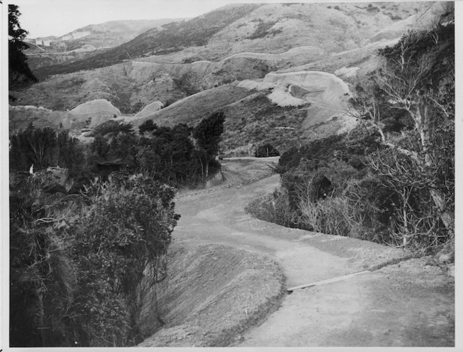 Creator unknown : Photograph of Wadestown Road, Wellington