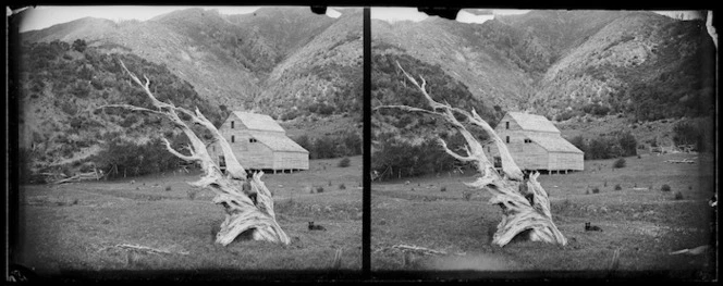 Scene at Waiwhetu, Lower Hutt, with weathered tree stump and Willcox's flour mill