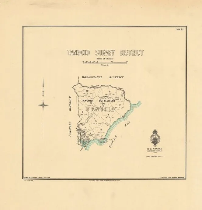 Tangoio Survey District [electronic resource] / drawn by C.T. Brown.