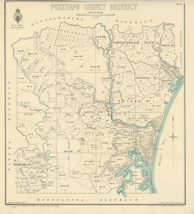 Puketapu Survey District [electronic resource] / drawn by C.T. Brown.