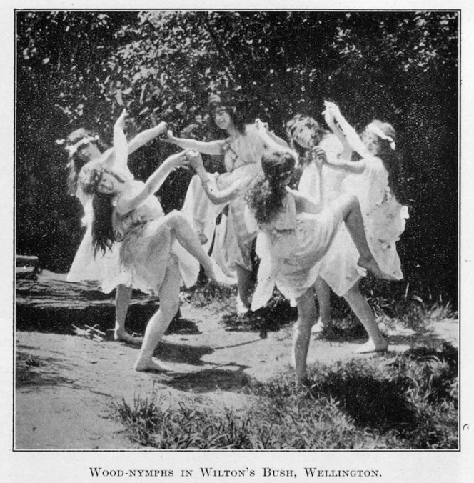 New Zealand Government Publicity Office: Wood-nymphs in Wilton's Bush, Wellington. [1925]