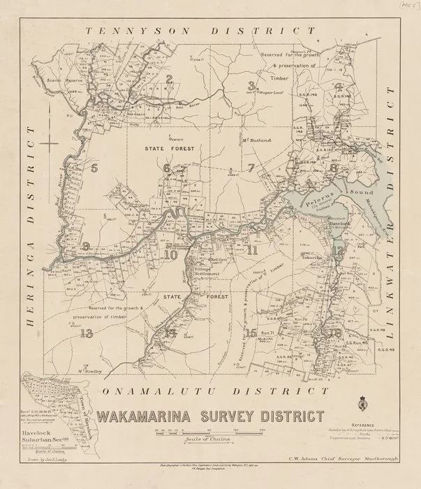 Wakamarina Survey District [electronic resource] / drawn by Jas. E. Leahy.