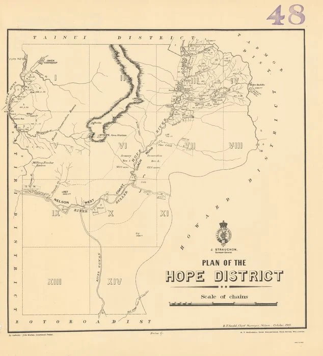 Plan of the Hope District [electronic resource].