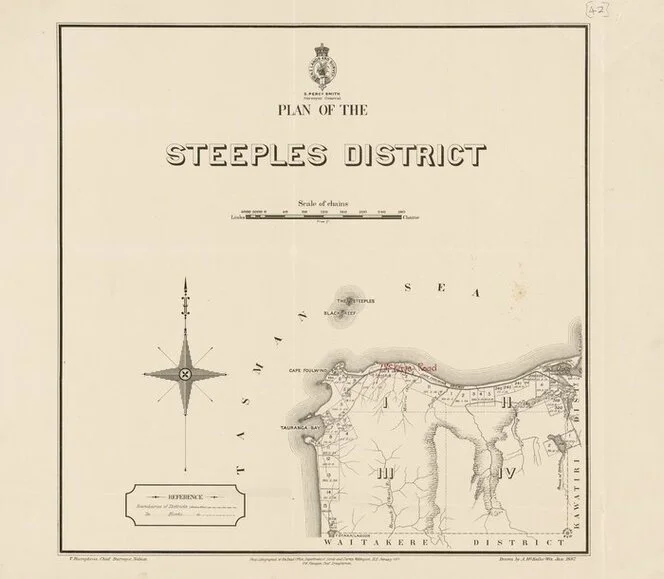Plan of the Steeples District [electronic resource] / drawn by A. McKellar Wix, Jan. 1897.