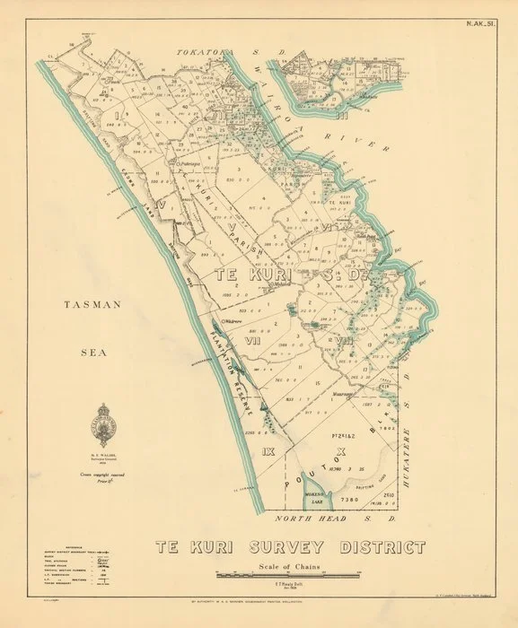 Te Kuri Survey District [electronic resource] / E.T. Healy, delt.