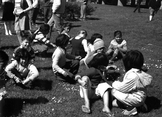 Māori Land March, periphery