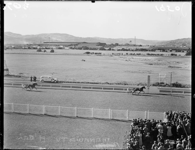 Trotting at Hutt Park