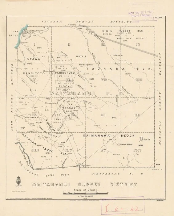 Waitahanui Survey District [electronic resource] / E.T.Healy delt. Sept. 1937.