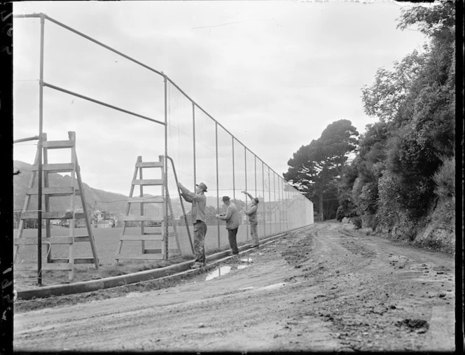 Fence at Anderson Park