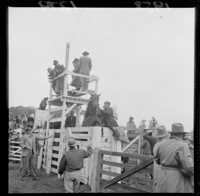 Men standing on a platform above a rearing horse at the Raetihi rodeo