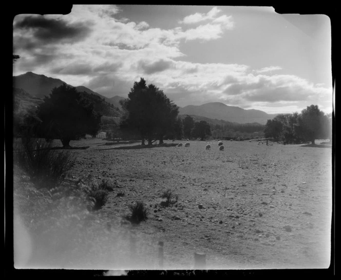 Golden Bay near Takaka, Tasman Region