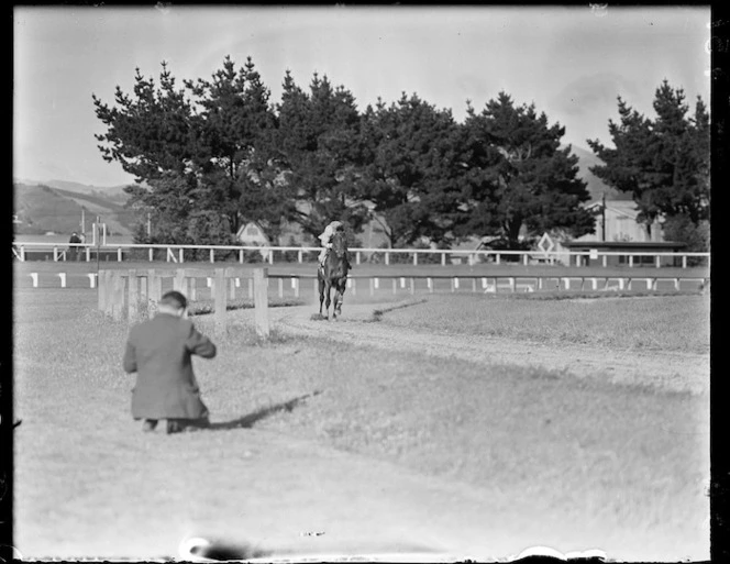 The racehorse Beaumaris in training