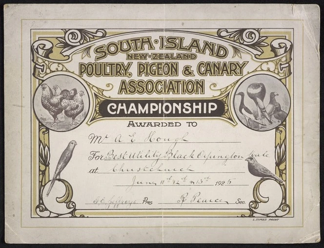 South Island Poultry, Pigeon & Canary Association :Championship awarded to Mr A E Hough for Best utility black orpington male, At Christchurch, June 11th, 12th + 13th, 1925. G E Jeffreys, pres[ident]; R Pearce, sec[retary]. L Times print [ca 1925]