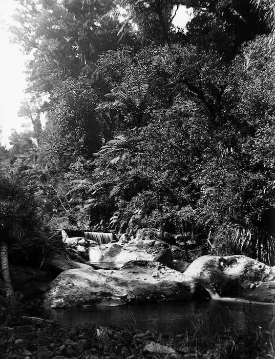 Tararu Stream, Thames