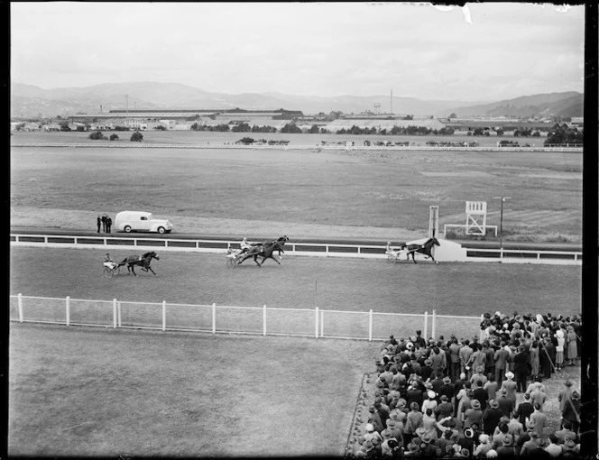 Trotting at Hutt Park