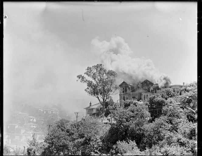 Houses in St John St, Wellington