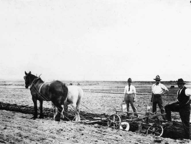 Returned servicemen with tuberculosis, on the Repatriation Department's farm at Tauherenikau, Wairarapa