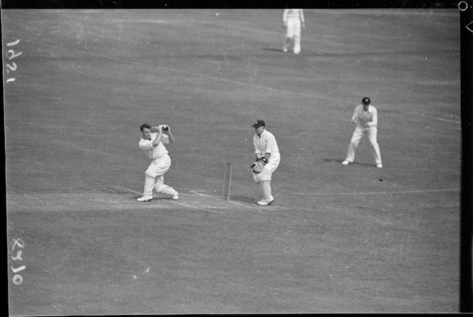 Cricket at the Basin Reserve