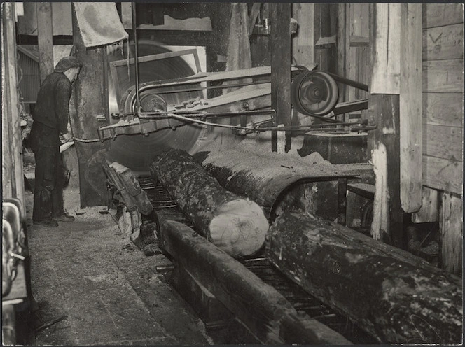 Log sawing, Waipa sawmill, Waipa Mill