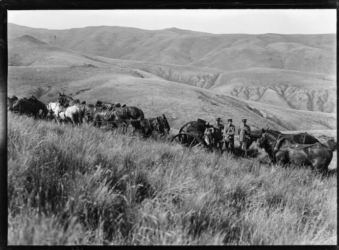 During World War I, probably Canterbury region