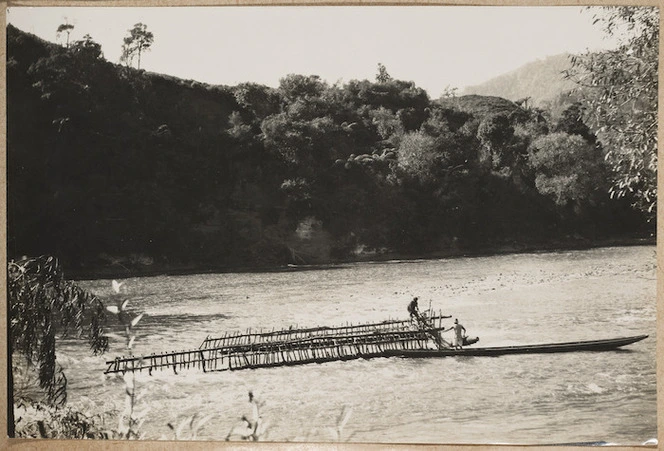 Lamprey and eel weir, Whanganui River