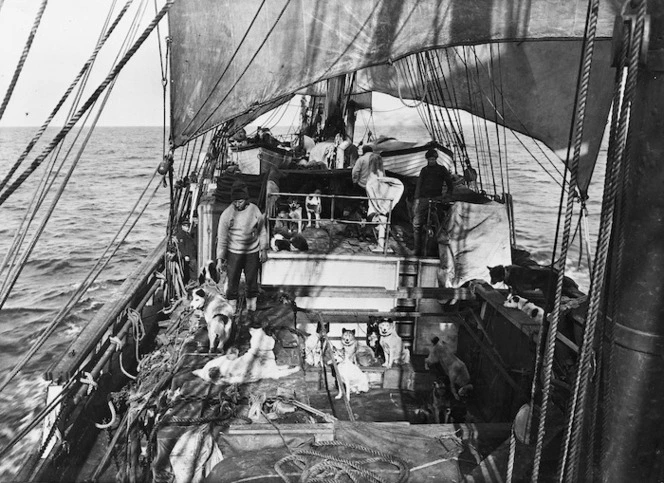 View of the deck of the "Terra Nova" with dogs from the engine room hatch, Antarctica