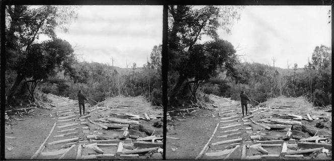 Old bush tramway at John Murdoch and Company, Waitati, Dunedin