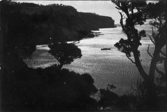 Bluebilly Cove, Chatham Islands