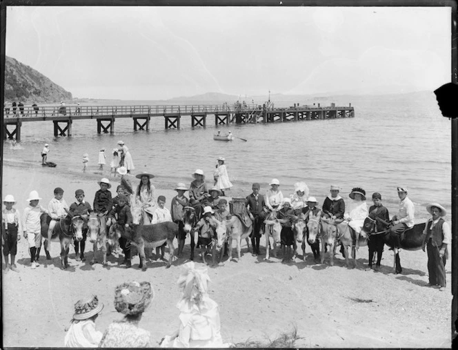 Donkeys, Days Bay