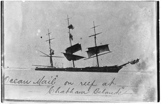 Ocean Mail on reef at Chatham Islands