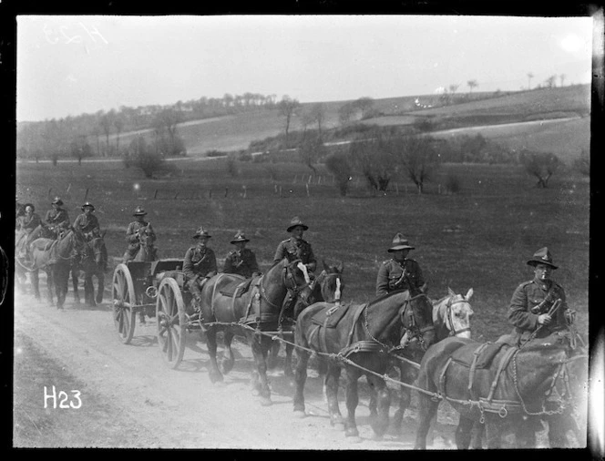 Military horse transport, World War I