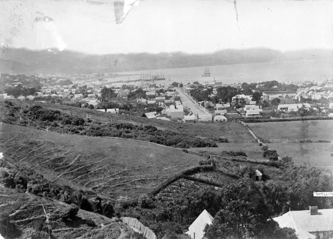 Mundy, Daniel Louis, 1826-1881: Wellington city