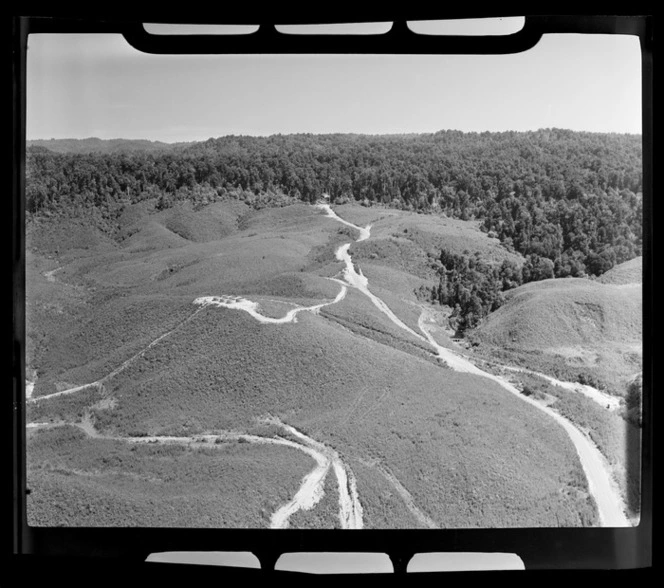 Henderson and Pollard forestry, Te Whaiti, Whakatane District