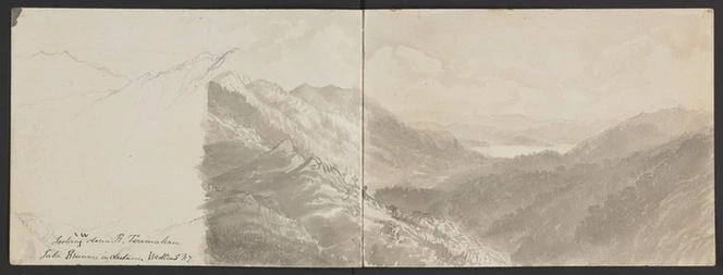 Hurt, Theodore Octavius fl 1860-1871 :Looking W. down R. Teremakau. Lake Brunner in distance, Westland, N.Z. [Between 1865 and 1871].