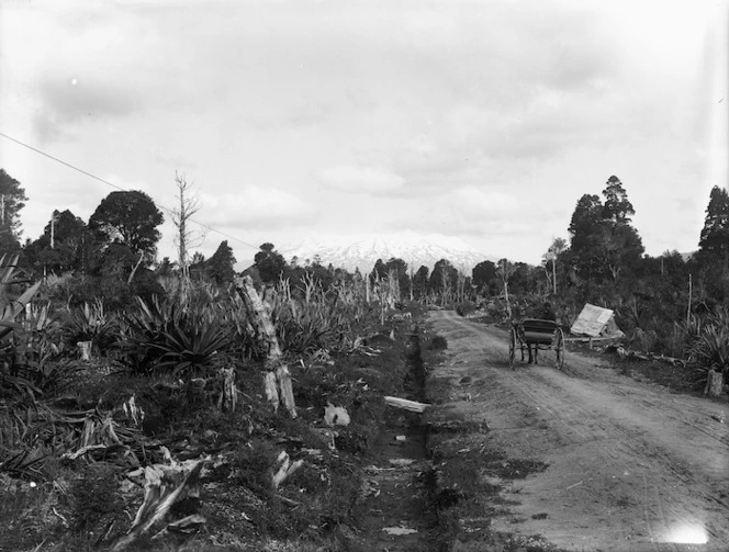 State highway between Ohakune and Horopito