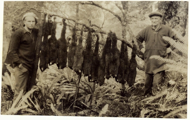 Two possum trappers with a day's catch from the Lake Waikaremoana district