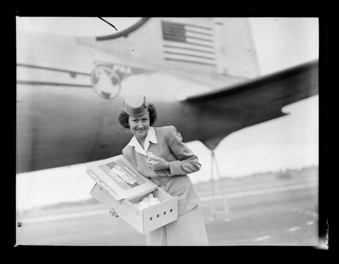 Stewardess Mrs McFarland with chicks