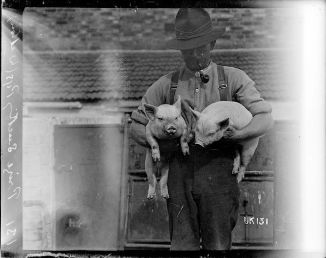 Prize suckling pigs, Walton, World War I