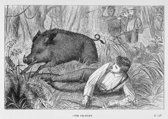 Engraving of a pig hunt by an unidentified artist, page 198 of the book Amongst the Maoris, a book of adventure by Emilia Marryat (Mrs Norris)