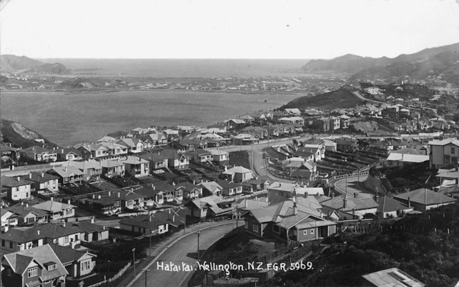Overlooking the suburb of Hataitai, Wellington