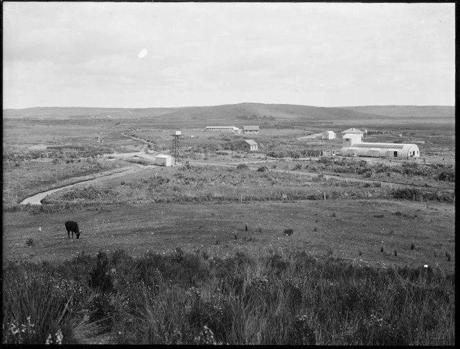 Brian's Flat, Lake Ohia