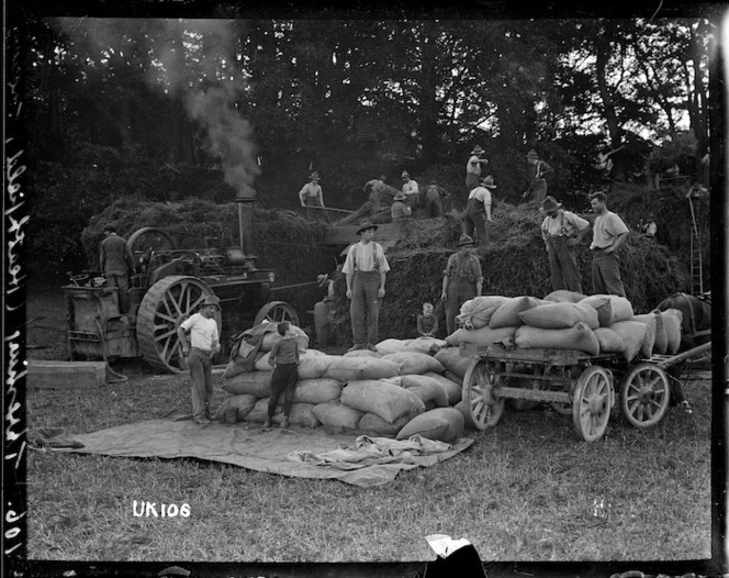 Threshing on the Heathfield farm near Torquay, World War I