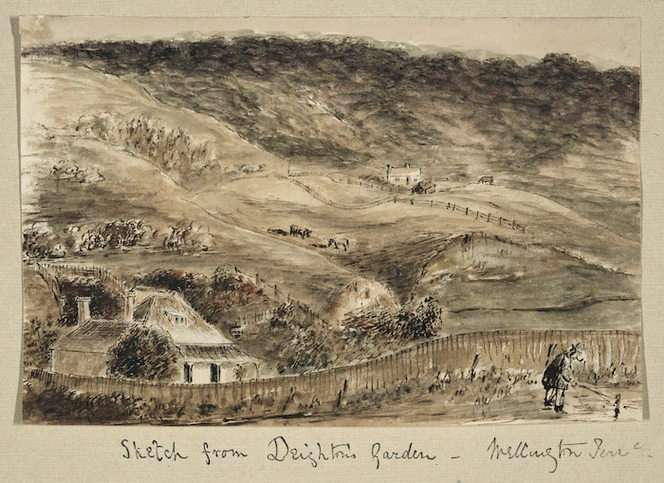 Pearse, John 1808-1882 :[Views of Wellington ca 1852]. Sketch from Deighton's garden, Wellington Terrace.