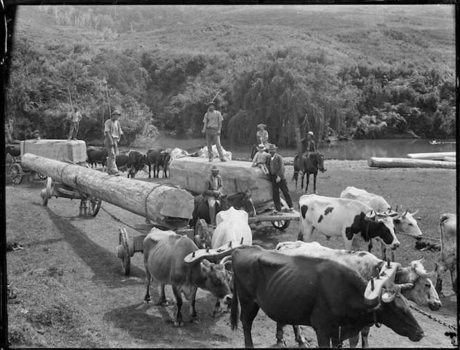 Log transportation, Northland