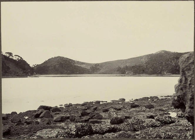 Assassination Cove, Oraukawa Bay, Northland, New Zealand